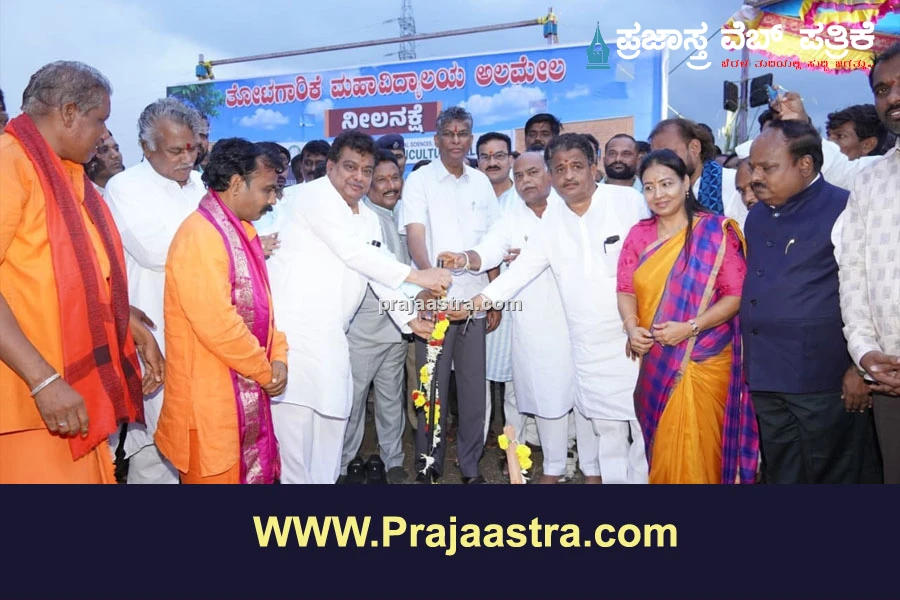 news_1782461007_0_306.webp