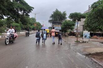 ಸಿಂದಗಿ: ಮಳೆಯಿಂದ 2 ಮನೆ ಹಾನಿ, 1 ಎಮ್ಮೆ ಸಾವು
