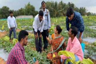 ವಿಜಯಪುರ: ಕೃಷಿ ಚಟುವಟಿಕೆ ಕುರಿತು ರೈತರಿಗೆ ತರಬೇತಿ