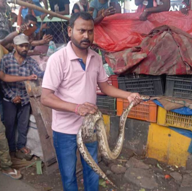 ಉಸಿರುಗಟ್ಟಿಸಿ ವ್ಯಕ್ತಿಯನ್ನು ಕೊಂದ ಹೆಬ್ಬಾವು