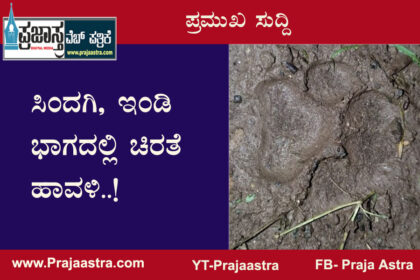 ನಿಜಕ್ಕೂ ಈ ಭಾಗದಲ್ಲಿ ಚಿರತೆ ಬಂದಿದ್ಯಾ?