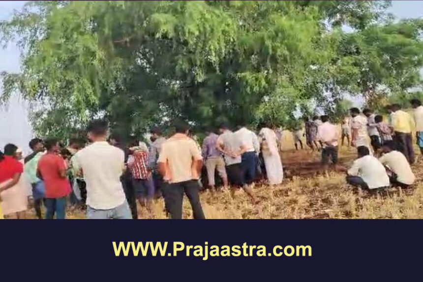 ಸಿಂದಗಿ: ಸಿಡಿಲು ಬಡೆದು 23 ಕುರಿಗಳ ಸಾವು