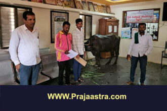 ಗ್ರಾಮ ಪಂಚಾಯ್ತಿಯೊಳಗೆ ಎಮ್ಮೆ ಕಟ್ಟಿ ರೈತನ ಪ್ರತಿಭಟನೆ
