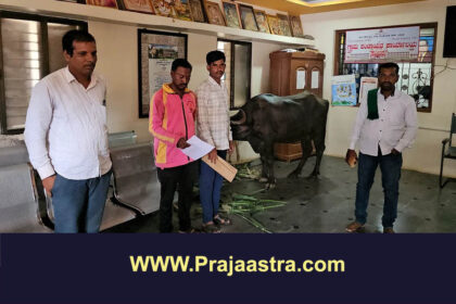 ಗ್ರಾಮ ಪಂಚಾಯ್ತಿಯೊಳಗೆ ಎಮ್ಮೆ ಕಟ್ಟಿ ರೈತನ ಪ್ರತಿಭಟನೆ