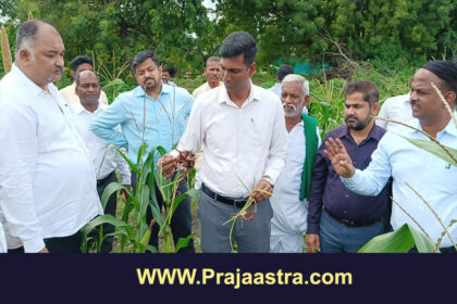 ಇಂಡಿ, ಚಡಚಣದಲ್ಲಿ ಡಿಸಿ, ಸಿಇಒ ಜಂಟಿ ಬೆಳೆ ಪರಿಶೀಲನೆ
