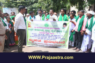 ವಿಜಯಪುರ: ವಿವಿಧ ಬೇಡಿಕೆ ಈಡೇರಿಕೆಗೆ ರೈತ ಸಂಘದಿಂದ ಒತ್ತಾಯ
