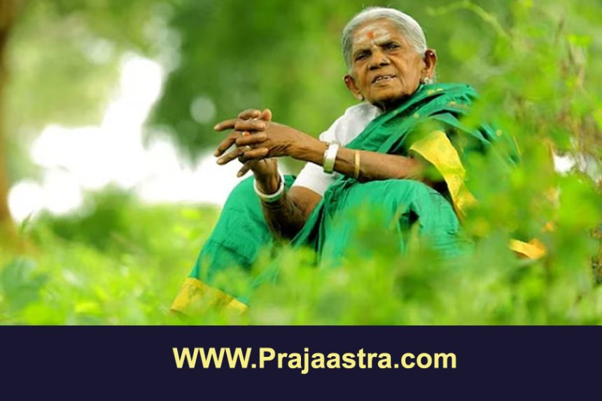 ಶತಾಯುಷಿ ಪದ್ಮಶ್ರೀ ಸಾಲುಮರದ ತಿಮ್ಮಕ್ಕ ವಿಧಿವಶ ಶತಾಯುಷಿ ಪದ್ಮಶ್ರೀ ಸಾಲುಮರದ ತಿಮ್ಮಕ್ಕ ವಿಧಿವಶ