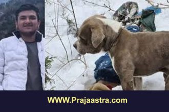 ಹಿಮದ ಅಡಿ ಸಿಲುಕಿ ಮೃತಪಟ್ಟ ಮಾಲೀಕನ ಮೃತದೇಹ 4 ದಿನ ಕಾದ ಶ್ವಾನ