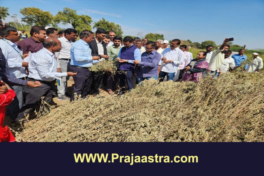 ವಿಜಯಪುರ: ಕೇಂದ್ರ ತಂಡದಿಂದ ಬೆಳೆಹಾನಿ ಸಮೀಕ್ಷೆ