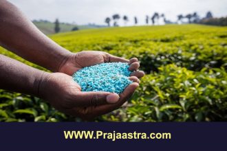 ರಸಗೊಬ್ಬರ ಸಬ್ಸಿಡಿ ಶೇ.11ಕ್ಕೆ ಏರಿಸಿದ ಕೇಂದ್ರ ಸರ್ಕಾರ